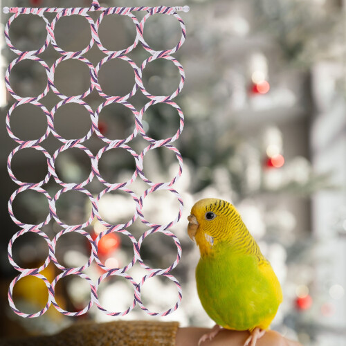 Appeso Per Cockatiel E Parrocchetto Accessorio Per Uccelli 2