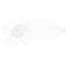 Women Fascinator Clip Feest Haardecoratie Theekrans Bruid