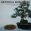 6Pcs Artificial Moss Stone For Aquarium And Home Decor 6