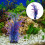 1 Planta Artificial De Plástico Para Acuario 5