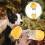 Botella De Para Perros Con Comida Portátil 6