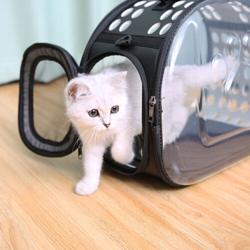 Living And Home Portable Transparent Pet Carrier, Black 2