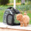Living And Home Portable Transparent Pet Carrier, Black 4
