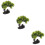 3 Unidades Planta Artificial Para Acuario Decoración 11