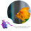 1 De Peces Acuario Con Artificial 8