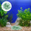 1Paquet En Vert Pour Aquarium, Vase 5