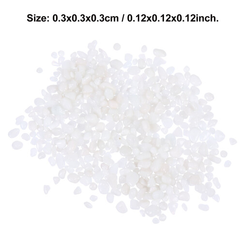 1Paquet En Pour Aquarium Vase 1