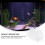 1Paquet En Pour Aquarium Vase 11