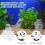 1Paquet En Pour Aquarium Vase 10