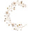 5 Pezzi Fascia Per Sposa Con Fiori E 1