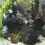 8 Lava 16 Mm Per E Piante Decorative 6