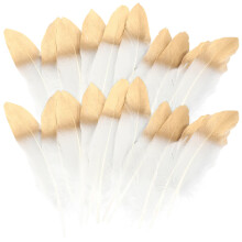 20 Pezzi Piume Oca Per Dreamcatcher Fai Da Te Materiali