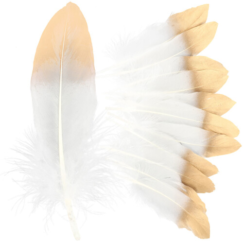 20 Pezzi Piume Oca Per Dreamcatcher Fai Da Te Materiali 2