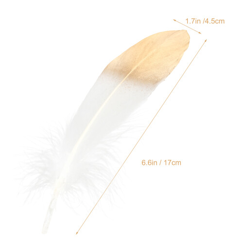 20 Pezzi Piume Oca Per Dreamcatcher Fai Da Te Materiali 1