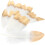 20 Pezzi Piume Oca Per Dreamcatcher Fai Da Te Materiali 8