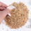 500G Pietre Ecologiche Per Decorazione 11