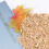 500G Pietre Ecologiche Per Decorazione 7