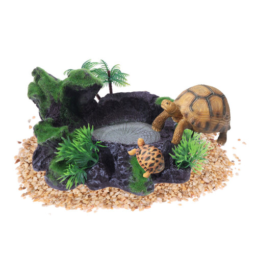 500G Pietre Ecologiche Per Decorazione 1