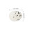 150 Uova Artificiali 2,5 Cm Bianco Per Decorazione 2