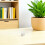 150 Uova Artificiali 2,5 Cm Bianco Per Decorazione 4