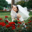 1 Pezzo A Per Sposa 4