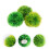 3 Acquatiche Simulate Per Decorazione 2
