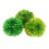 3 Acquatiche Simulate Per Decorazione 5