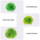 3 Acquatiche Simulate Per Decorazione 9