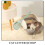 Lungo Scoop Per Litter In 8
