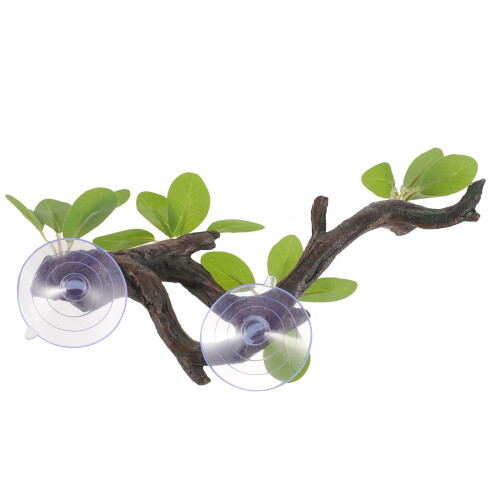 3Pcs Decoração De Artificial Para Terrário E Com Ventosa 2