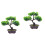 2 Unidades Planta Artificial Bonsai Vasinho de Plástico 6