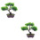 2 Unidades Planta Artificial Bonsai Vasinho de Plástico 4