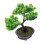 2 Unidades Planta Artificial Bonsai Vasinho de Plástico 11
