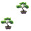 2 Unidades Planta Artificial Bonsai Vasinho de Plástico 7