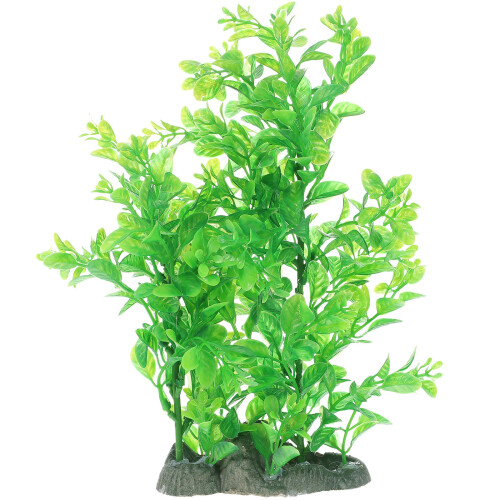Paisagem Planta Decoração Planta Aquática Enfeite 2