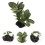 2Pcs Enfeite Simulação Planta Paisagismo 11
