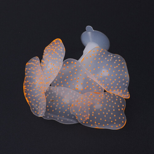 Aquáticas Artificiais Para Com Corais Fluorescentes 2