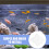 12 Unidades Para De Acrílico Transparente 6Mm 8