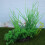 Planta De Plástico Para , Decoração Artificial Grama 9