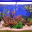 Planta De Plástico Para , Decoração Artificial Grama 10