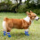 4Pcs Antiderrapantes Algodão para Cachorro e 4