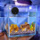 Termometro Per Con Display Led 0.9F 4