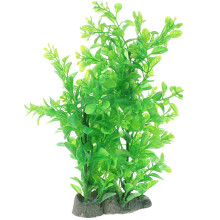 Aquarium Decorativa Per Paesaggio