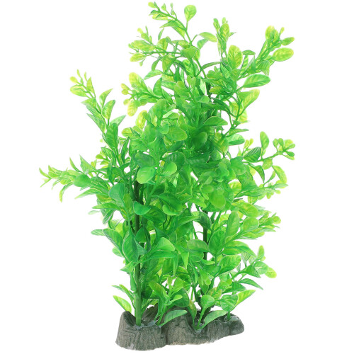 Aquarium Decorativa Per Paesaggio