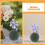 Palle Floreali 2 Pezzi Per Decorazione Matrimonio 8