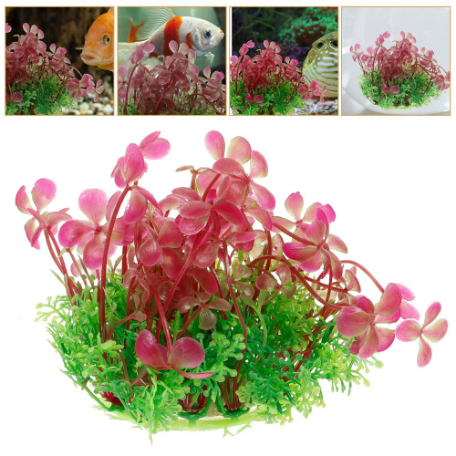 Piante Per In Decorative Per 1