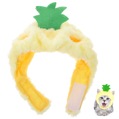 1 Ananas Hoed Kat Huisdier Outfit Haarversiering 2