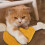 Tapete De Arranhão Resistente Para Gatinhos Brinquedo Suspenso 9