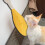 Tapete De Arranhão Resistente Para Gatinhos Brinquedo Suspenso 11