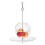 3Pcs Brinquedo Para De , Comedouro Para 9
